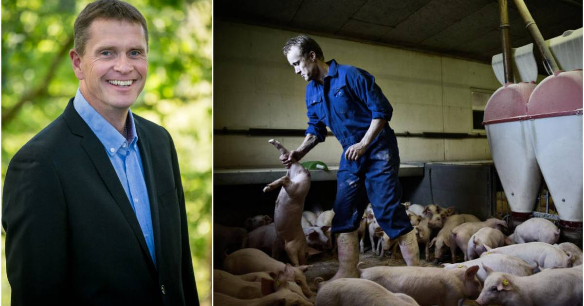 Lokal landbrugsrådgiver Krigen er den største trussel for dansk