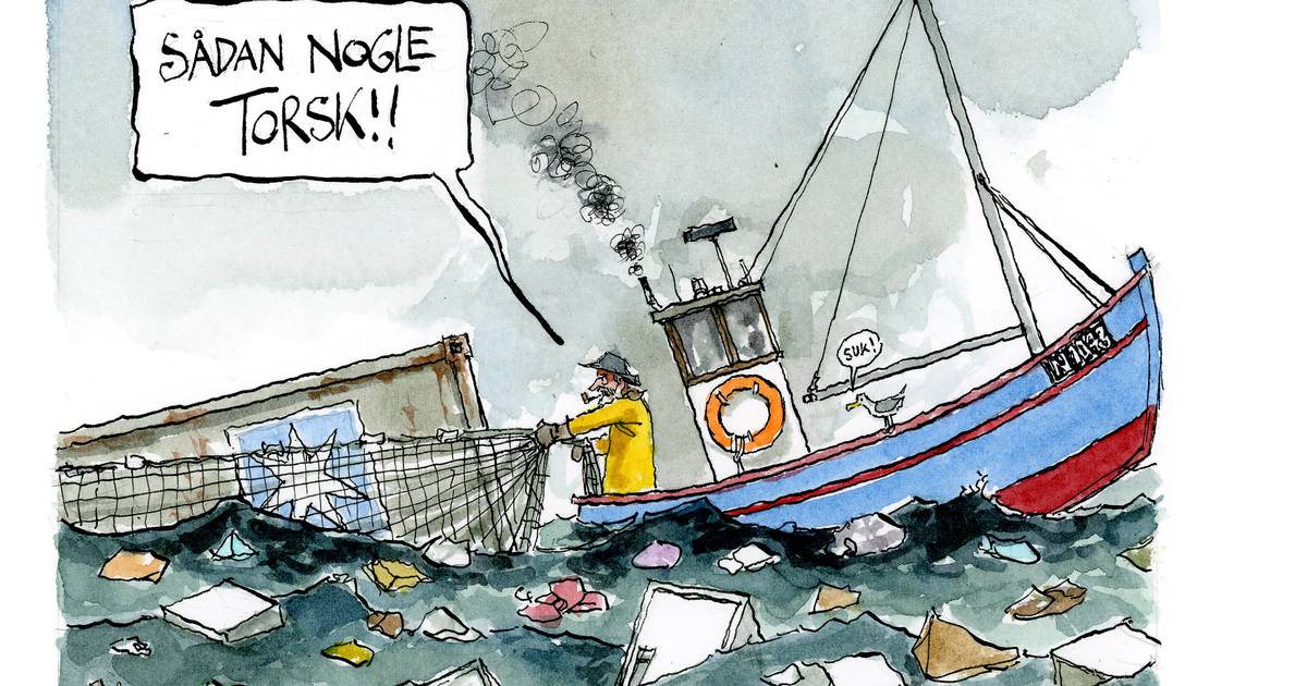 Dagens Tegning Jyllands Posten