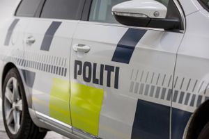 Mand dukkede frem fra buskads og blottede sig foran tre teenagepiger. Her er dagens uddrag af døgnrapporten.