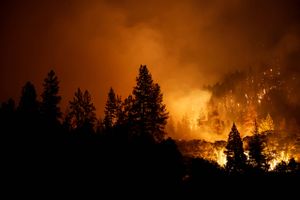 50 store skovbrande har hærget Californien i 2022. Branden McKinney er den største, staten har set i år.