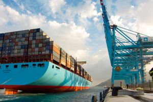 Der er milevid forskel på forretningsmodellerne i containerrederiet Maersk Line, der fragter gods på verdenshavene, og havneterminalerne i APM Terminals, der løfter containere af og på containerskibene. Derfor giver de ikke nødvendigvis mening at have under samme selskab, lyder investorsynspunktet.