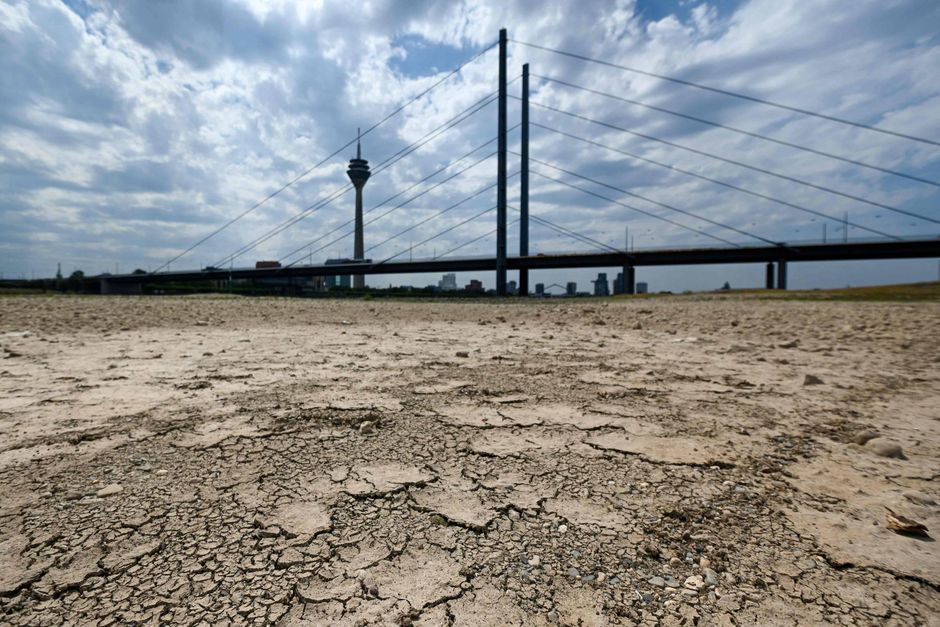 Rhinen ved Düsseldorf. Der er fortsat vand i sejlrenden, men ingen kan være i tvivl om, hvor hårdt tørken har ramt en af Europas vigtigste vandveje. Foto: AFP/Ina Fassbender  