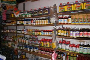 På hylderne i butikkerne i Sydøstasien er det nemt og billigt at købe meget giftige pesticider. Foto: Manjula Weerasinghe/videnkab.dk
