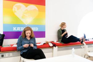 Enhedslistens årsmøde har valgt folketingskandidater. Det er kendte navne, der står øverst på listen.