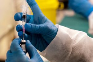 Regeringen forventer snart at kunne indkalde til forhandlinger om en investering i en dansk vaccine fra Bavarian Nordic.