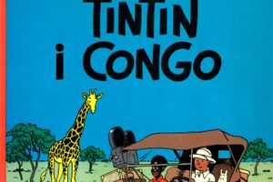 Fjernelse af en Tintin-plakat, fordi den har en afrikansk karakter, kan ikke slette den adfærd, der førte til dens skabelse, men det kan gøre det sværere for os at lære af den tid i vores historie, mener skribenten. Arkivfoto