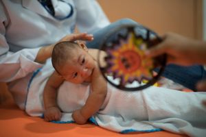 Der er en stærk mistanke om, at zikavirus kan give medfødt microcephali (for lille hovedudvikling) og andre skader på centralnervesystemet hos nyfødte. Sammenhængen er dog ikke endeligt bevist.