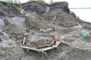 Yana-lejren udgraves. På opsatsen ses de samlede fund og artefakter. Foto: Vladimir Pitulko
