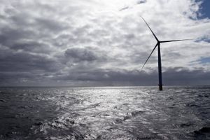 Seniorforsker Mads F. Hovmand, Københavns Universitet, mener, at vindmøller skal langt ud på havet, hvor det blæser mere. Arkivfoto: Jens Dresling/Polfoto