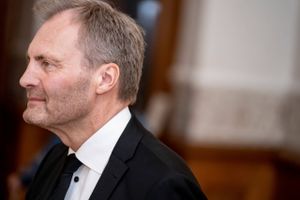 Politikere vil gøre platforme ansvarlige for at fjerne ulovligt indhold hurtigt. Regeringen nedsatte for et år siden en arbejdsgruppe, men der skal ske noget, siger flere retsordførere.