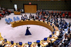 Danmarks ageren internationalt har sandsynligvis skadet chancerne for at indtræde i FN's Sikkerhedsråd, mener Ole Olsen. Arkivfoto: Andrew Kelly
