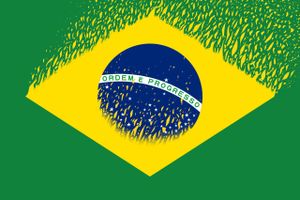 I oktober satte Brasilien​ en ny og trist gældsrekord. 74,6 pct. af befolkningen er nu registreret som dårlige betalere i Brasiliens svar på RKI i gæld. 85 procent af gælden stammer fra kreditkort. Arkivtegning: Niels Bo Bojesen