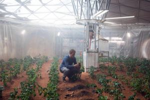 "The Martian er endnu en kompetent science fiction-historie fra Ridley Scott, men uden de tidligeres stramhed og mystik.