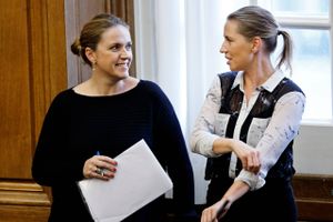 Landbrug & Fødevarers nye adm. direktør, Karen Hækkerup, kan se en række udfordringer tårne sig op, når hun næste mandag sætter sig i direktørstolen på Axelborg.