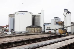 I det forrige århundrede stod sukkerproduktionen for en rivende udvikling af Lolland-Falster. Siden kom stagnation og afvikling. Nu skal en ny, kontroversiel gasledning fastholde Nordic Sugar på de to øer i Femern-bæltet. Beslutningen kan starte dette århundredes nye eventyr, drømmer borgmesteren. 

Foto: Gregers Tycho