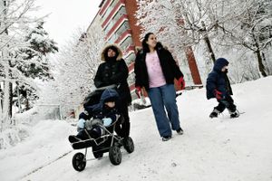 I Östra Göinge Kommune i Skåne har man undgået affolkning, men den ændrede befolkningssammensætning har ført til »gnidninger«.