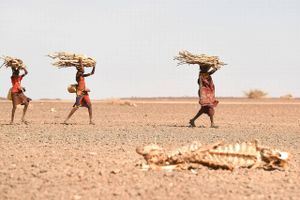 Hver 16. borger i Somalia er enten internt fordrevet eller flygtet ud af landet. Det skyldes vedvarende tørke.