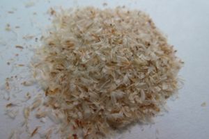 Partier af naturlægemidlet Husk Psyllium-frøskaller i kapselform tilbagekaldes af Lægemiddelstyrelsen. 
