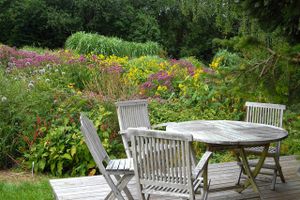 Se her, hvordan du kan skabe en have, der både nu og i fremtiden står smuk og farverig på et tidspunkt, hvor de grønne omgivelser er ved at takke af efter en lang sommer. 