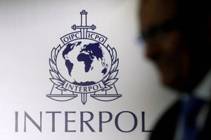Det internationale politisamarbejdes beslutning kommer trods advarsler fra kritikere om, at regimet vil bruge det til at forfølge politiske modstandere.