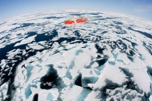 Internationale forskere sætter direkte procenter på, hvor stor en del af den globale opvarmning i Arktis skyldes det stigende antal mennesker. De opfordrer til at begrænse antallet af fødsler. Men emnet er kontroversielt.