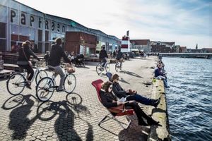De mange madboder på Papir øen i Københavns Havn trækker mange besøgende – både københavnere og turister. Foto: Stine Bidstrup
