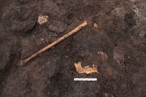 Arkæologer fra Romu har ved udgravninger i Egedal fundet et moselig, de mener stammer fra en rituel ofring.