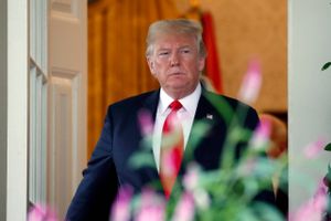 En højtplaceret kildes beretning om kaos i Det Hvide Hus har sat gang i en intern klapjagt i Donald Trumps administration.