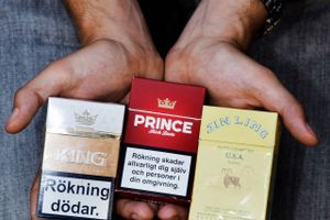 Kopierede versioner af cigaretmærkerne Prince og Kings, formentlig produceret i Kina, samt discountmærket Jin Ling fra Kaliningrad. Alle pakkerne er beslaglagt i Sverige . Arkivfoto: Lærke Posselt/Polfoto