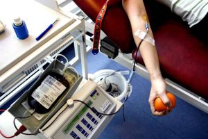 Fjernelsen af en ekstra sikkerhedstest af donorblod får flertallet til at smuldre for at lade mænd, der har sex med mænd, være bloddonorer.