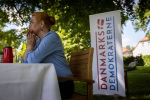 Danmarksdemokraterne skoser de fine københavnske saloner og vil kæmpe for de danskere, der bor langt fra hovedstaden. Men hvad er mærkesagerne for de kandidater, som partiet stiller op på Sjælland?