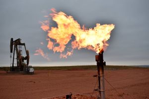 Naturgas brændes af på et skiferoliefelt nær Watford City i Nord Dakota. Konsolideringen i energisektoren betyder, at USA's olieproduktion ikke er tilbage på niveauet før coronakrisen. Foto: AP/Matthew Brown