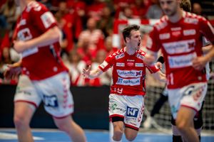 To danske herrehåndboldhold er med i næste års Champions League, efter at Aalborg er blevet tildelt et wildcard.