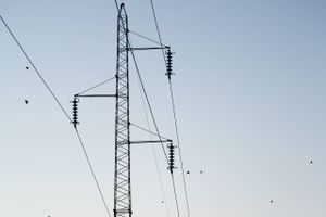 Det,​ der har fået elprisen til aktuelt at løbe helt grassat, er den såkaldt grønne omstilling med stærkt varierende elproduktion fra sol og især vind, skriver Frede Vestergaard. Arkivfoto: Thomas Borberg