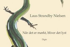 Titlen på Laus Strandby Nielsens digtsamling sammenfatter grundtanken i bogen: ”hele tiden” findes ikke, for mørket er en overgang før lyset, som igen er overgang til mørket. Tilværelsen er basalt set dynamisk, ustabil, foranderlig, men den rummer også mønstre, gentagelser og det velkendte.