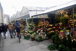 Amsterdam er kendt for sine mange cykler og farverige tulipaner. Og selv om temperaturen viser frostgrader, er landets to varemærker stadig at finde overalt.