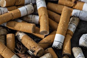 Ifølge WHO indeholder tobaksprodukter over 7000 giftige kemikalier, der frigives i miljøet, når de smides væk.
