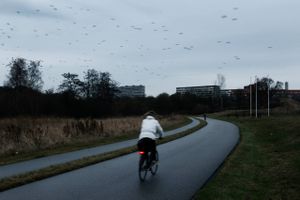 Et forsøg i Aarhus skal få flere til at droppe bilen ved at varsle om cykelstiernes tilstand i vintervejret. 