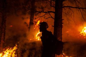 Skovbranden 'Bootleg' raser fortsat i delstaten Oregon, hvor flere tusinde mennesker er evakueret. Branden har vokset sig så omfangsrig, at den kan ses fra Rummet, og flammerne skaber et særligt vejrfænomen, der kan forstærke skovbranden yderligere. 