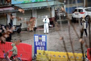 Et nyt virus sættes i forbindelse med et nu lukket skaldyrsmarked i den kinesiske millionby Wuhan. Men nu viser det sig ifølge kinesiske forskere, at virus kan smitte fra person til person. Foto: Darley Shen/Reuters