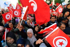 Væbnet med det tunesiske flag og sloganet fra Det Arabiske Forår "Arbejde, frihed og værdighed", har indbyggere demonstreret mod, at den tunesiske regering øger priser og hæver skatter for at begrænse et underskud på statsbudgettet. Foto: Fethi Belaid