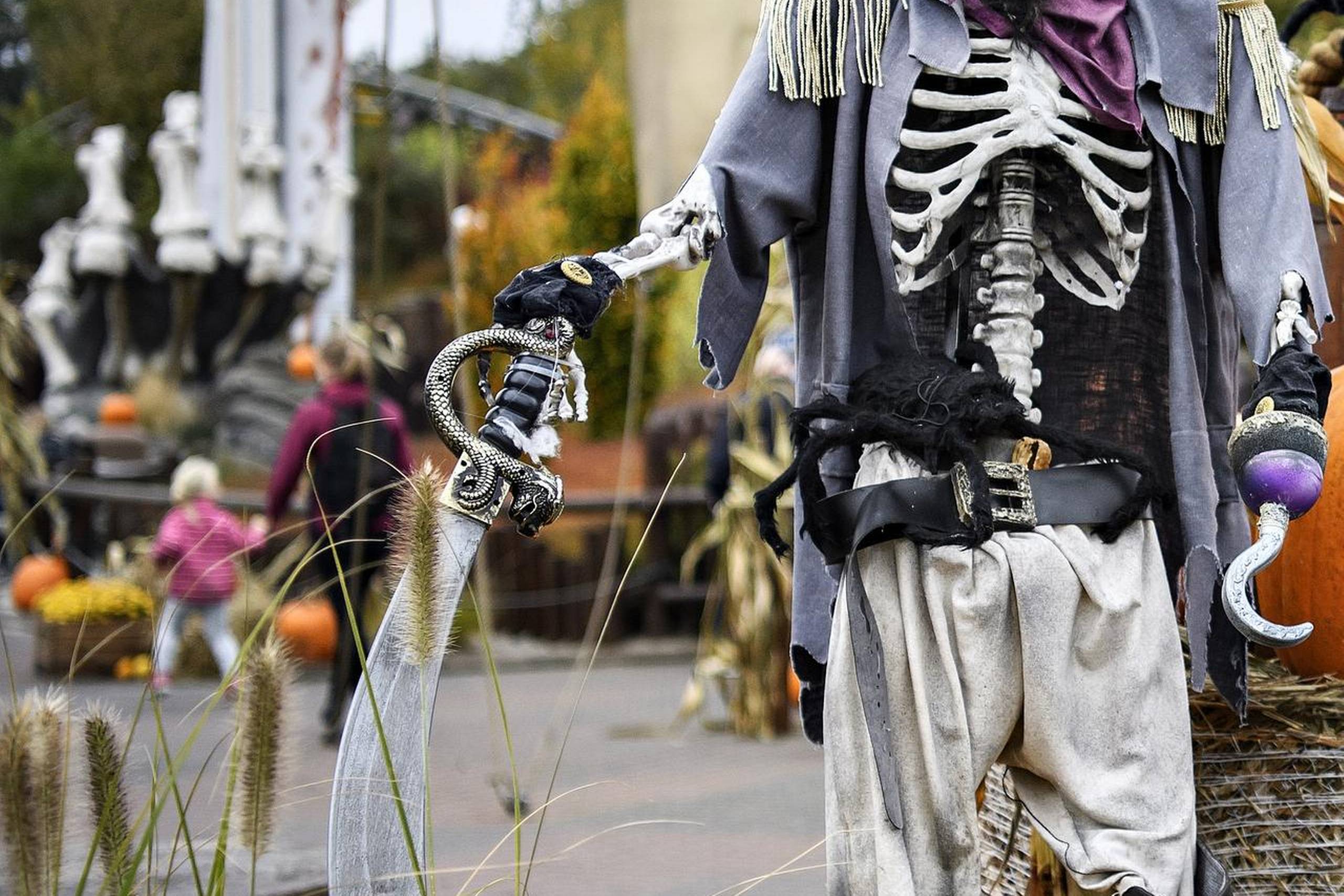 Djurs Sommerland lander endnu engang på førstepladsen i tilfredshedsundersøgelse. Denne gang en undersøgelse foretaget af Danland og DanCenter blandt 5.800 danske og tyske feriegæster. Foto: Anita Graversen