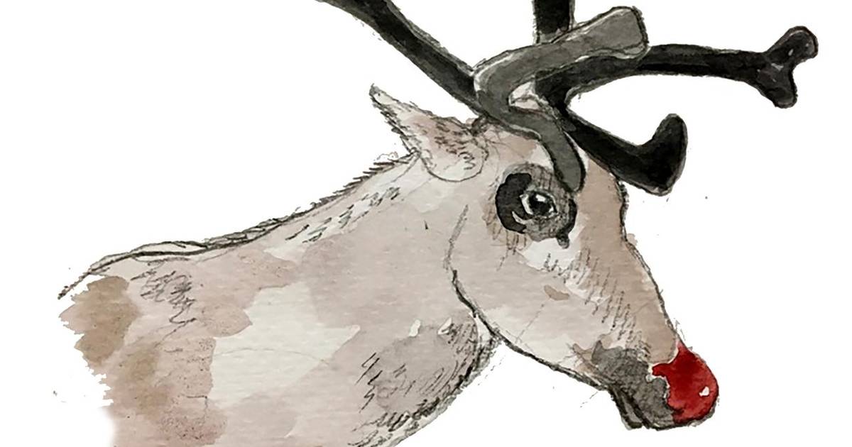 ”Rudolf med den røde tud” - Jyllands-Posten