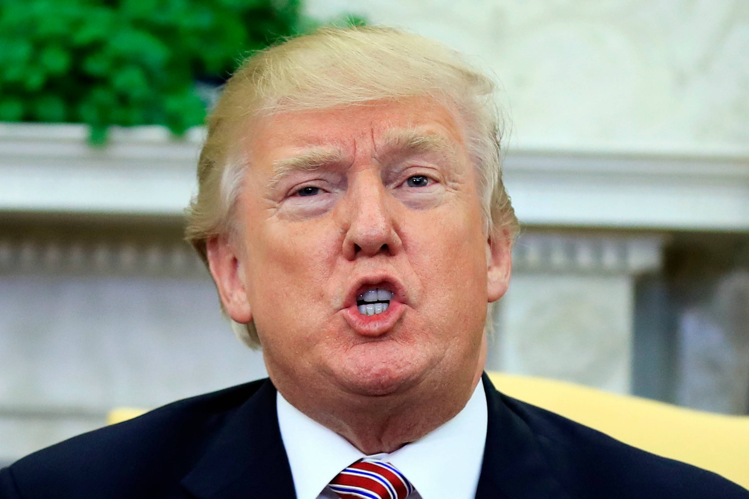 Det Hvide Hus har afvist historien om Trumps affære med en Playboy-model som fake news. Foto: AP/Manuel Balce Ceneta