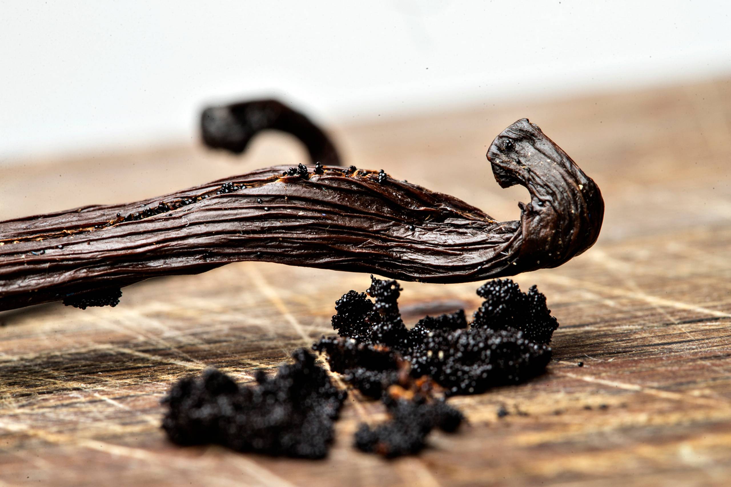 Foto: Miriam Dalsgaard/Polfoto