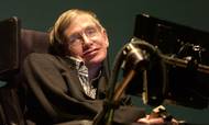 Den verdensberømte fysiker Stephen Hawking ses her i 2003. Han døde i marts i år, 76 år gammel. Foto: AP/The Plain Dealer/Scott Shaw