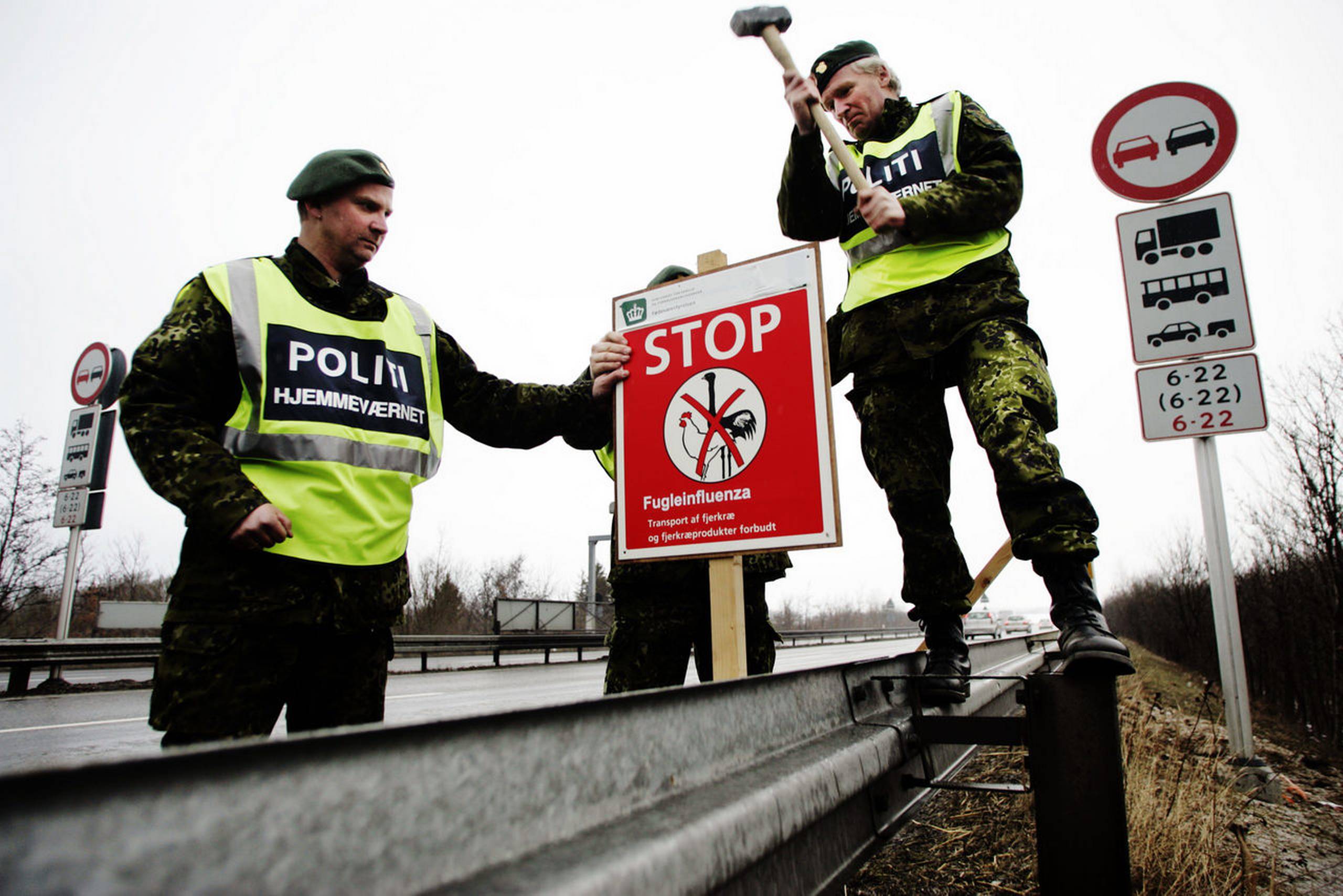 Foto: Thomas Borberg/Polfoto