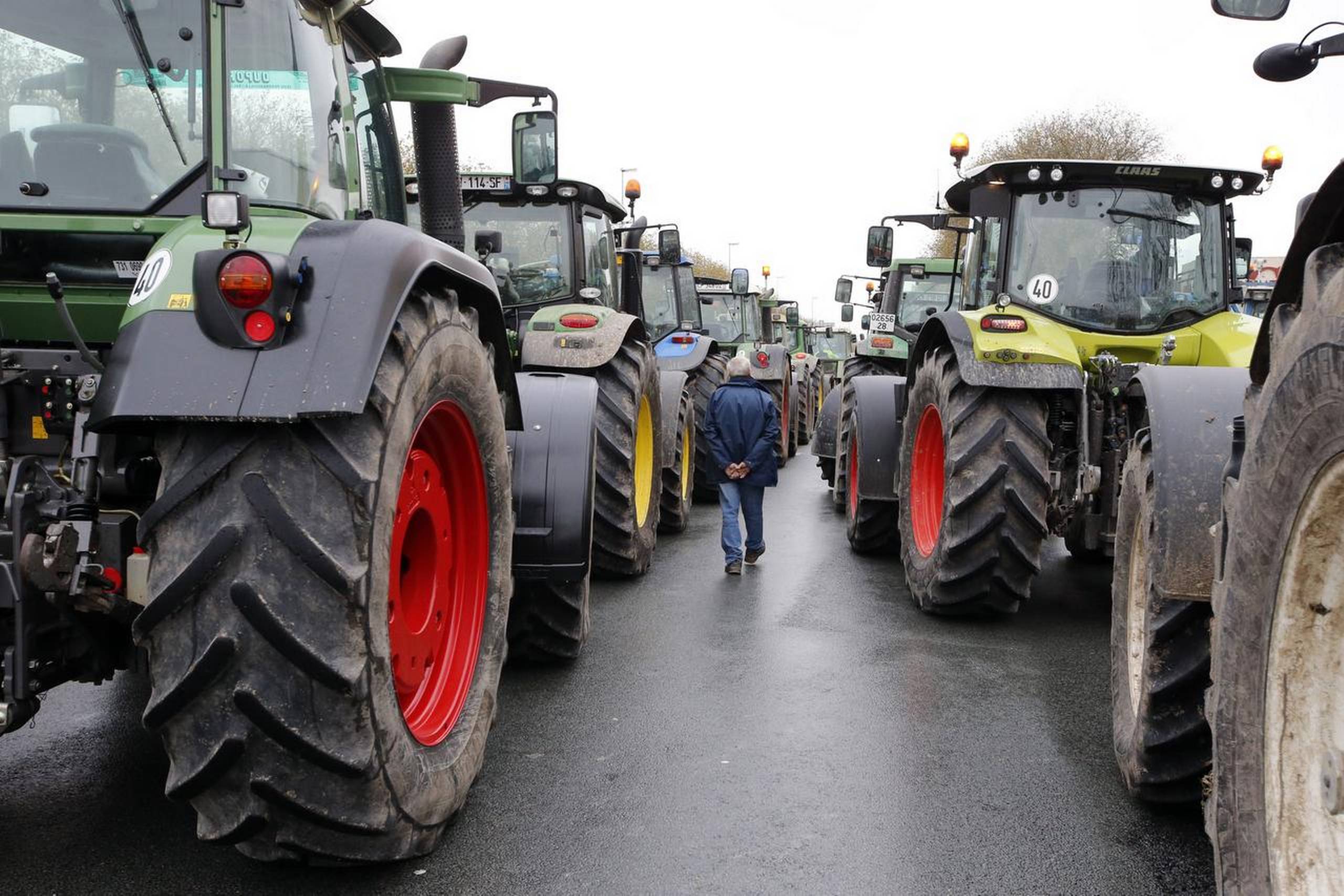 For at få budgettet til at hænge sammen vil EU-Kommissionen skære i landbrugsstøtten. Det giver bekymring hos finansminister Kristian Jensen (V), der ellers gerne ser budgettet blive mindre. Arkivfoto: Francois Mori/AP