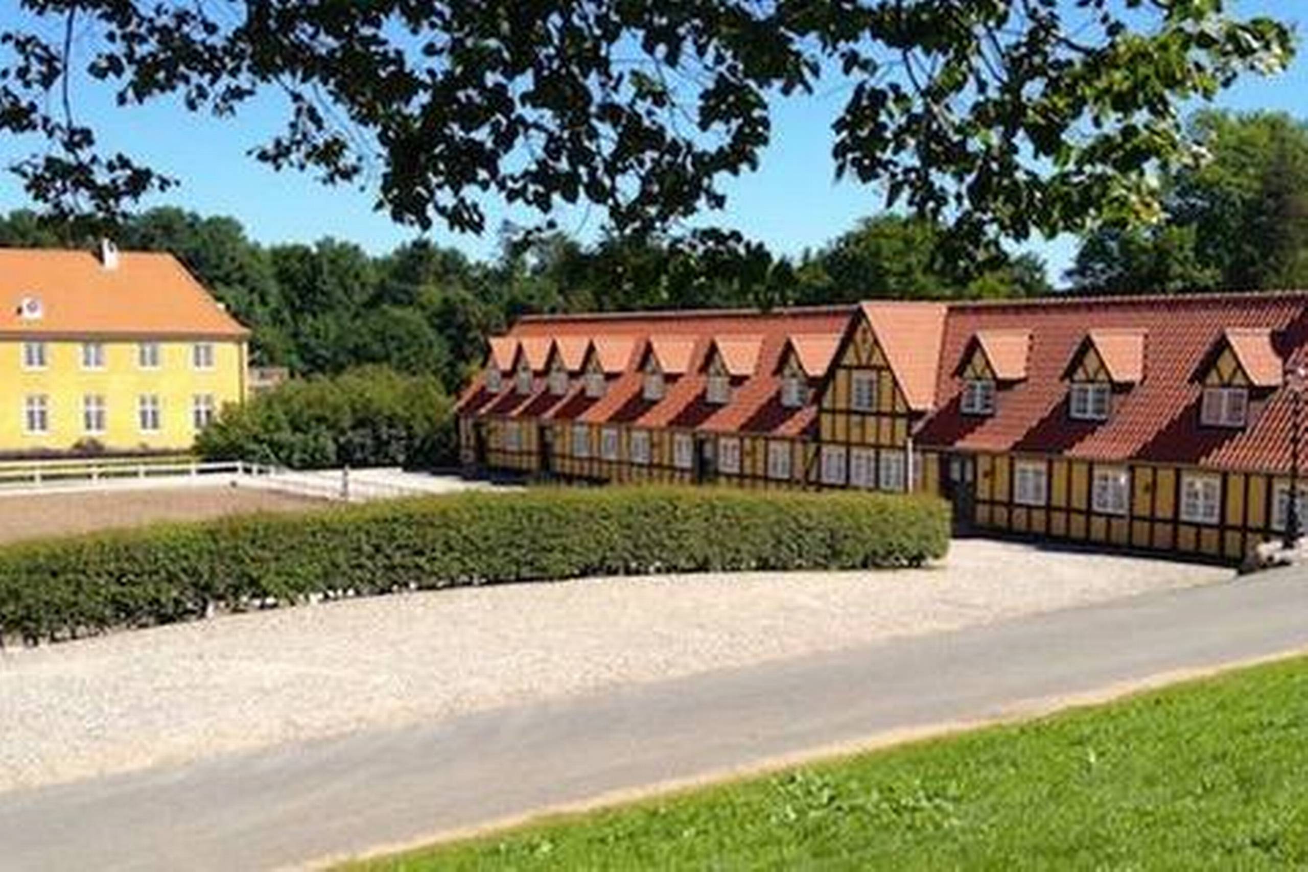 Møllerup Gods har fremavlet hampesorten Finola og efter en netop overstået certificering, bliver det nu muligt at sælge danskproduceret, certificeret hampefrø til danske landmænd, der ønsker at dyrke hamp til fødevarer. Pressefoto
