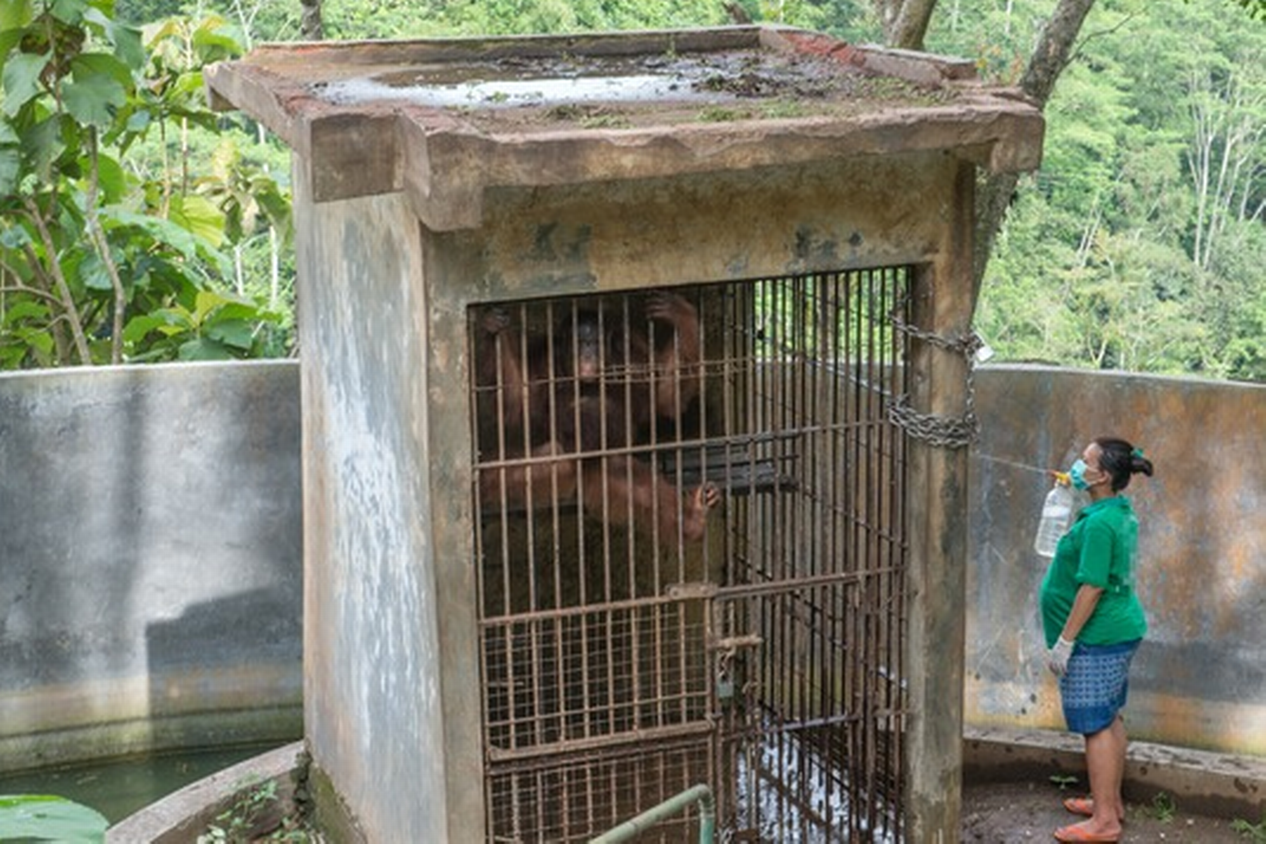 Foto: World Animal Pretection